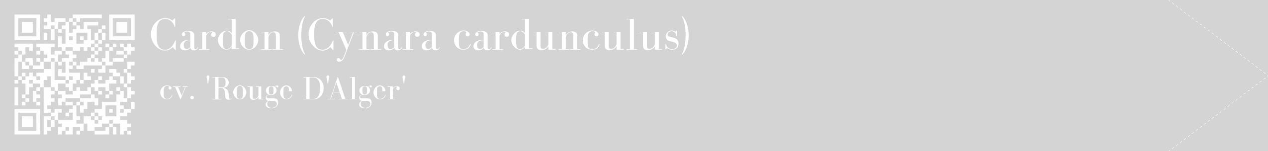 Étiquette de : Cynara cardunculus cv. 'Rouge D'Alger' - format c - style blanche40_simple_simplebod avec qrcode et comestibilité