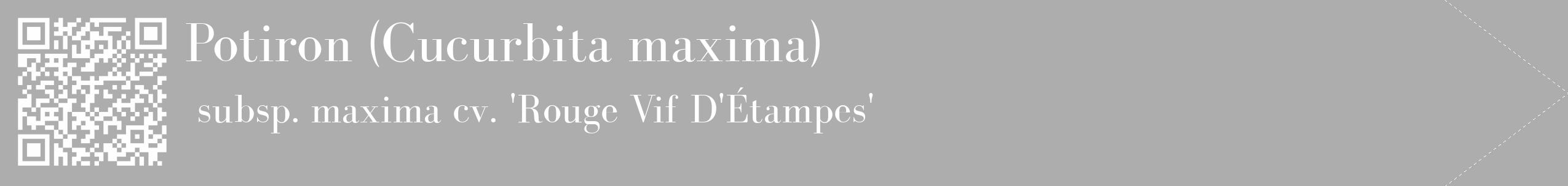 Étiquette de : Cucurbita maxima subsp. maxima cv. 'Rouge Vif D'Étampes' - format c - style blanche22_simple_simplebod avec qrcode et comestibilité