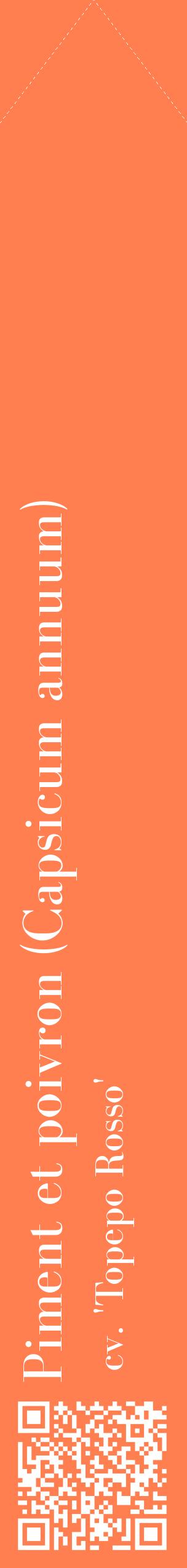 Étiquette de : Capsicum annuum cv. 'Topepo Rosso' - format c - style blanche24_simplebod avec qrcode et comestibilité