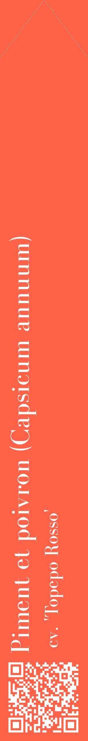 Étiquette de : Capsicum annuum cv. 'Topepo Rosso' - format c - style blanche25_simplebod avec qrcode et comestibilité