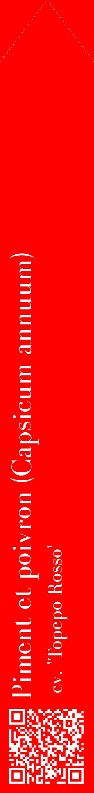 Étiquette de : Capsicum annuum cv. 'Topepo Rosso' - format c - style blanche27_simplebod avec qrcode et comestibilité