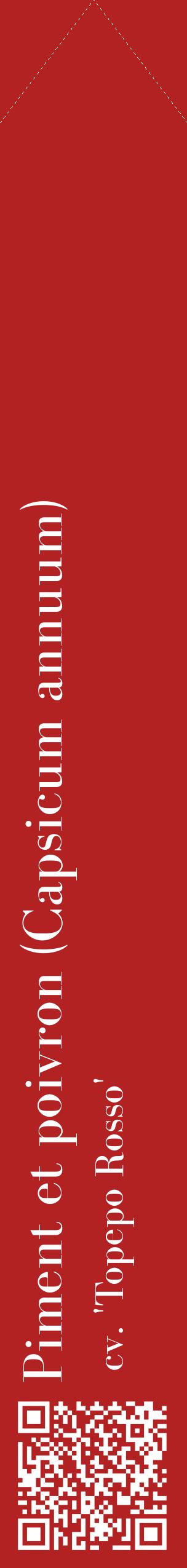 Étiquette de : Capsicum annuum cv. 'Topepo Rosso' - format c - style blanche28_simplebod avec qrcode et comestibilité
