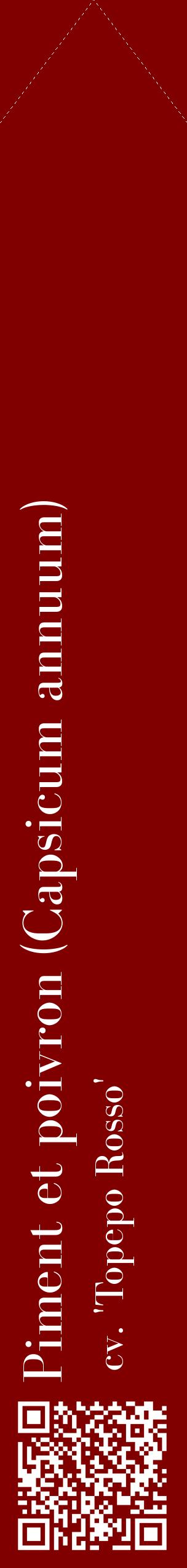 Étiquette de : Capsicum annuum cv. 'Topepo Rosso' - format c - style blanche29_simplebod avec qrcode et comestibilité