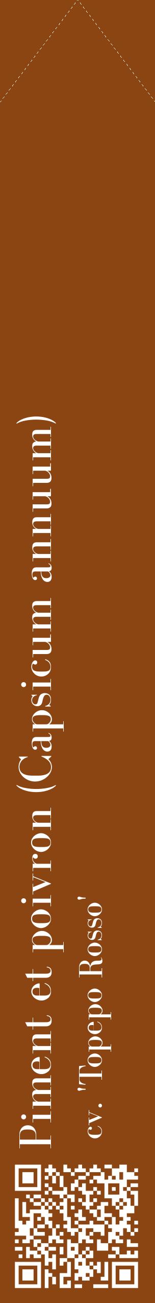 Étiquette de : Capsicum annuum cv. 'Topepo Rosso' - format c - style blanche30_simplebod avec qrcode et comestibilité