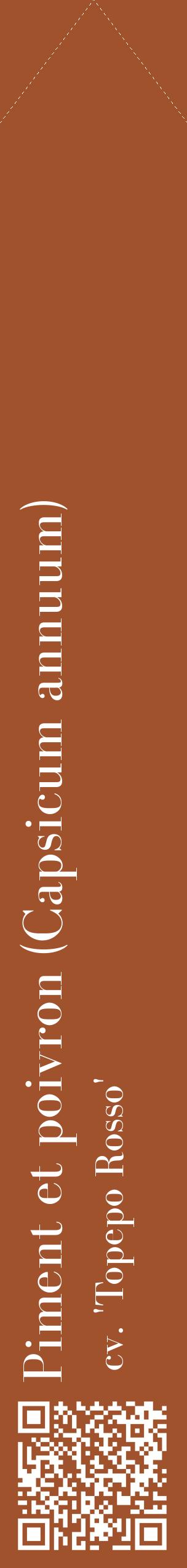 Étiquette de : Capsicum annuum cv. 'Topepo Rosso' - format c - style blanche32_simplebod avec qrcode et comestibilité