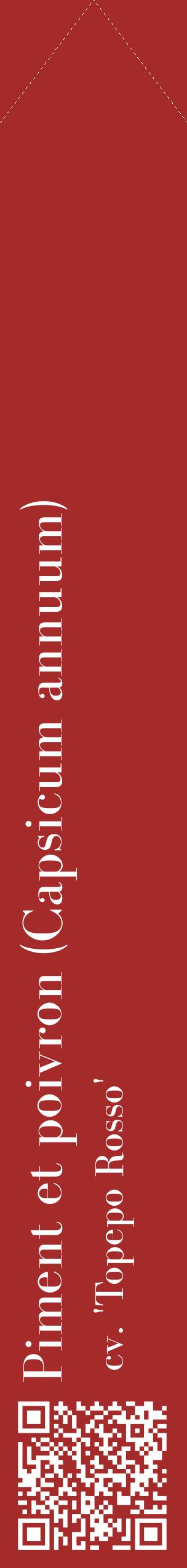 Étiquette de : Capsicum annuum cv. 'Topepo Rosso' - format c - style blanche33_simplebod avec qrcode et comestibilité