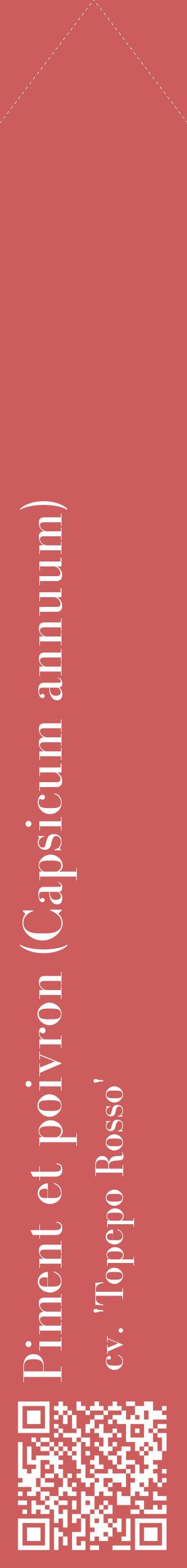 Étiquette de : Capsicum annuum cv. 'Topepo Rosso' - format c - style blanche35_simplebod avec qrcode et comestibilité