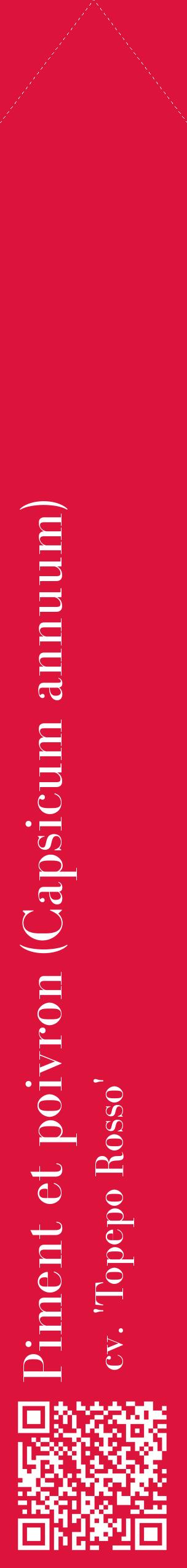Étiquette de : Capsicum annuum cv. 'Topepo Rosso' - format c - style blanche36_simplebod avec qrcode et comestibilité