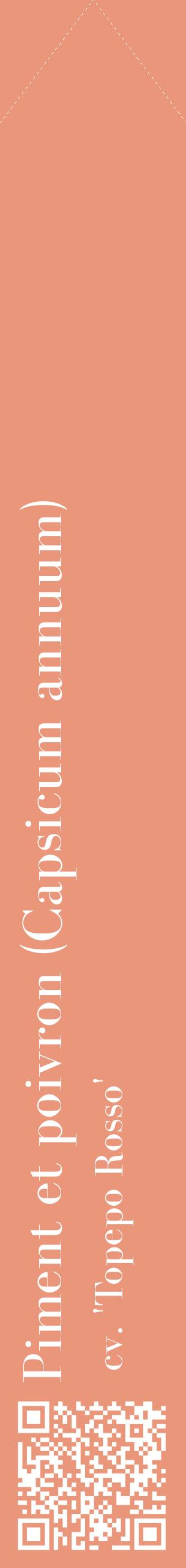Étiquette de : Capsicum annuum cv. 'Topepo Rosso' - format c - style blanche37_simplebod avec qrcode et comestibilité