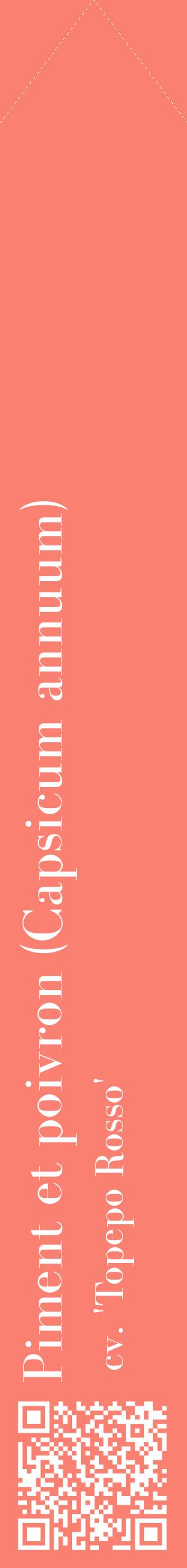 Étiquette de : Capsicum annuum cv. 'Topepo Rosso' - format c - style blanche38_simplebod avec qrcode et comestibilité