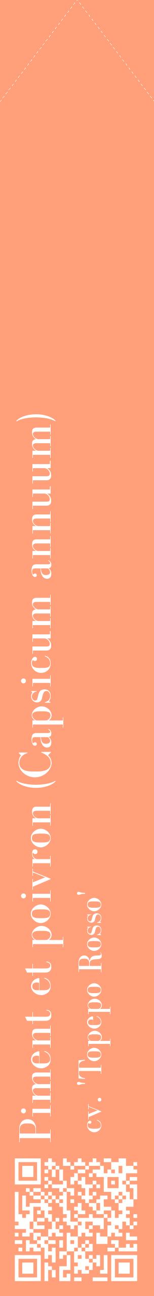 Étiquette de : Capsicum annuum cv. 'Topepo Rosso' - format c - style blanche39_simplebod avec qrcode et comestibilité