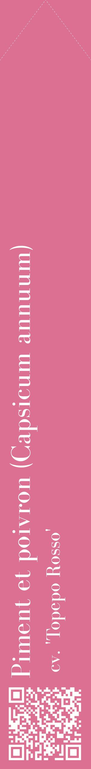 Étiquette de : Capsicum annuum cv. 'Topepo Rosso' - format c - style blanche44_simplebod avec qrcode et comestibilité