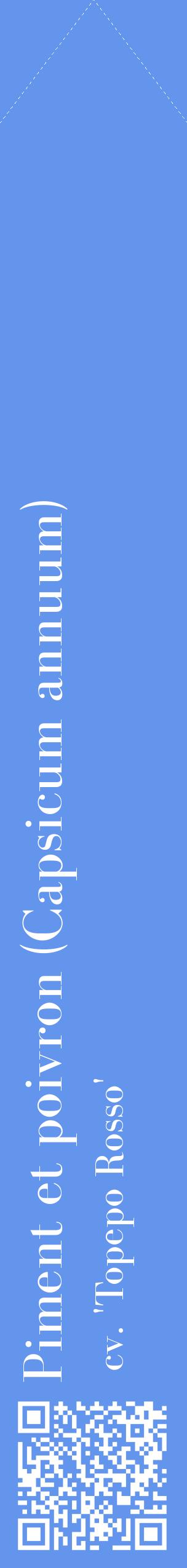 Étiquette de : Capsicum annuum cv. 'Topepo Rosso' - format c - style blanche4_simplebod avec qrcode et comestibilité