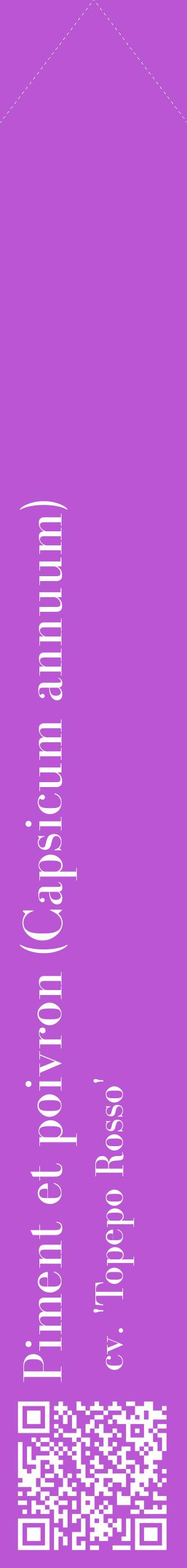 Étiquette de : Capsicum annuum cv. 'Topepo Rosso' - format c - style blanche50_simplebod avec qrcode et comestibilité