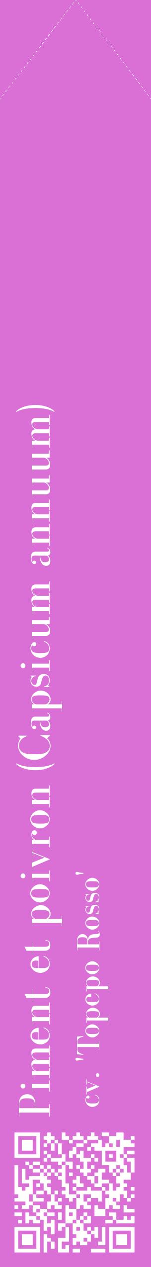 Étiquette de : Capsicum annuum cv. 'Topepo Rosso' - format c - style blanche52_simplebod avec qrcode et comestibilité