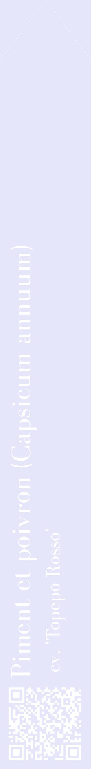 Étiquette de : Capsicum annuum cv. 'Topepo Rosso' - format c - style blanche55_simplebod avec qrcode et comestibilité