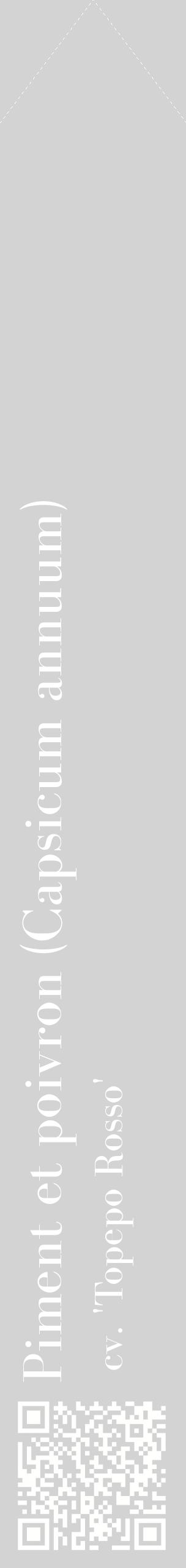 Étiquette de : Capsicum annuum cv. 'Topepo Rosso' - format c - style blanche56_simplebod avec qrcode et comestibilité