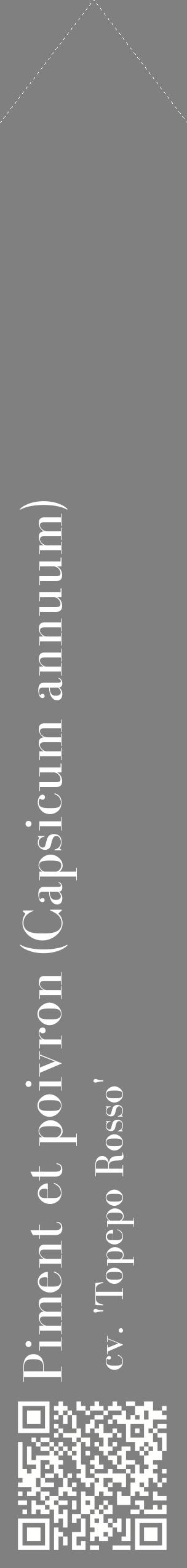 Étiquette de : Capsicum annuum cv. 'Topepo Rosso' - format c - style blanche57_simplebod avec qrcode et comestibilité