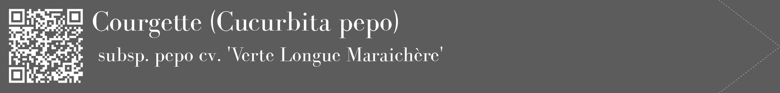 Étiquette de : Cucurbita pepo subsp. pepo cv. 'Verte Longue Maraichère' - format c - style blanche49_simple_simplebod avec qrcode et comestibilité