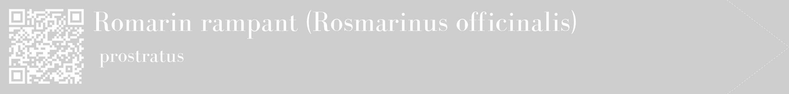 Étiquette de : Rosmarinus officinalis prostratus - format c - style blanche17_simple_simplebod avec qrcode et comestibilité
