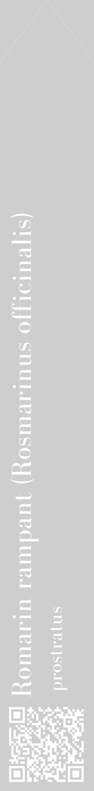 Étiquette de : Rosmarinus officinalis prostratus - format c - style blanche17_simple_simplebod avec qrcode et comestibilité - position verticale
