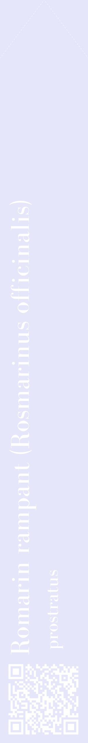 Étiquette de : Rosmarinus officinalis prostratus - format c - style blanche55_simplebod avec qrcode et comestibilité
