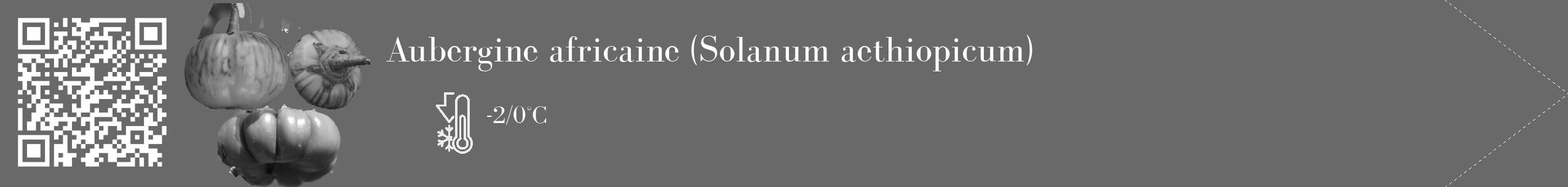 Étiquette de : Solanum aethiopicum - format c - style blanche11_simple_simplebod avec qrcode et comestibilité