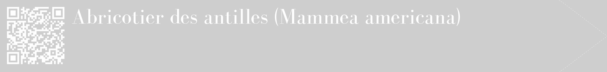 Étiquette de : Mammea americana - format c - style blanche17_simple_simplebod avec qrcode et comestibilité