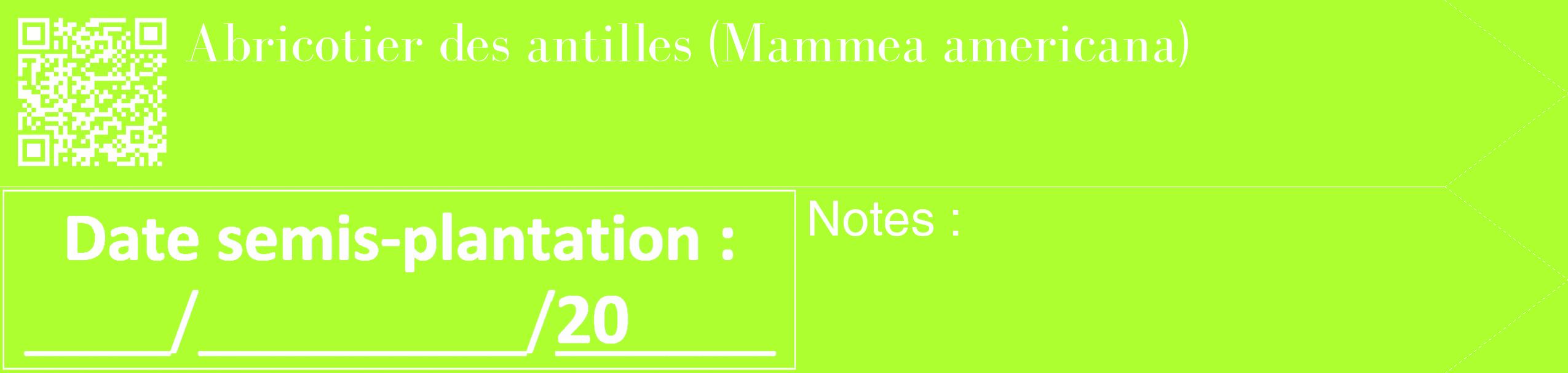 Étiquette de : Mammea americana - format c - style blanche17_simple_simplebod avec qrcode et comestibilité