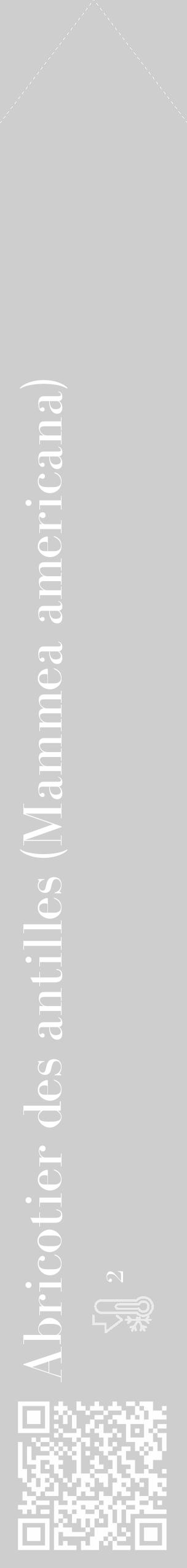 Étiquette de : Mammea americana - format c - style blanche17_simple_simplebod avec qrcode et comestibilité - position verticale