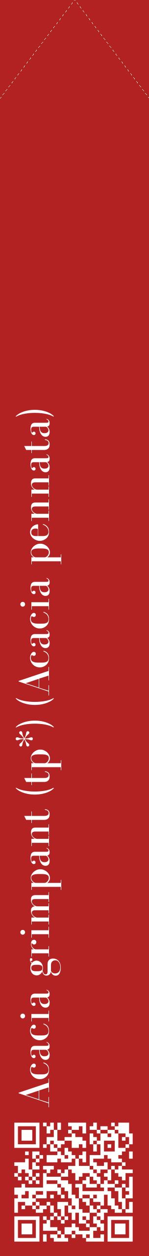 Étiquette de : Acacia pennata - format c - style blanche28_simplebod avec qrcode et comestibilité
