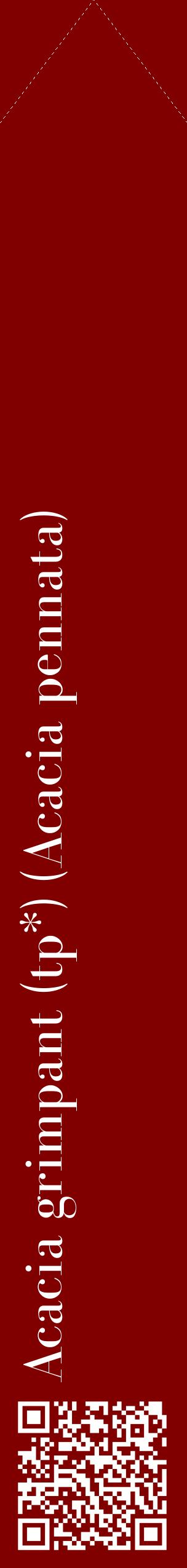 Étiquette de : Acacia pennata - format c - style blanche29_simplebod avec qrcode et comestibilité
