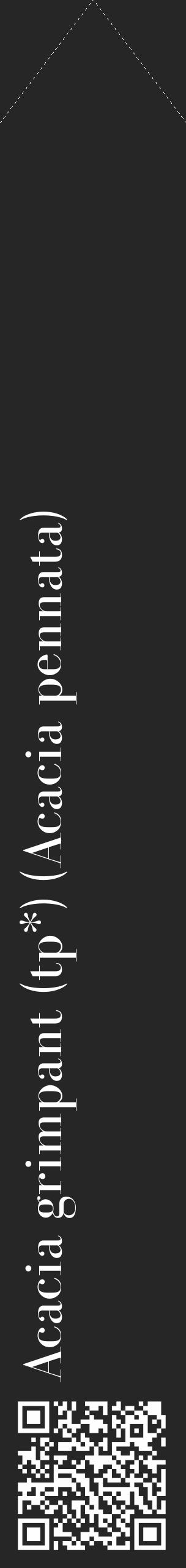 Étiquette de : Acacia pennata - format c - style blanche29_simple_simplebod avec qrcode et comestibilité - position verticale