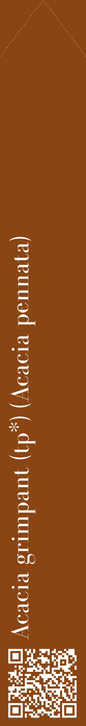 Étiquette de : Acacia pennata - format c - style blanche30_simplebod avec qrcode et comestibilité