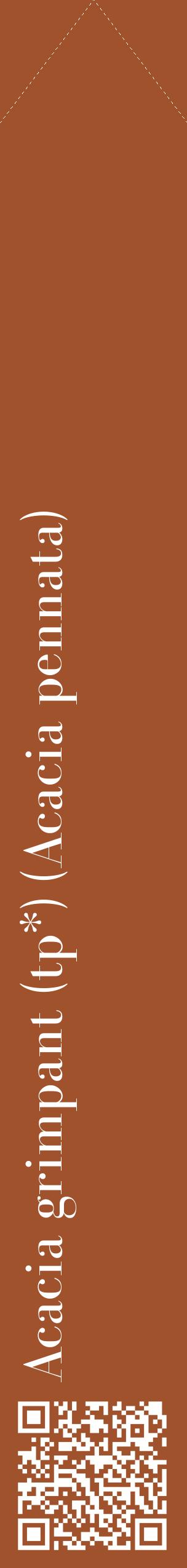 Étiquette de : Acacia pennata - format c - style blanche32_simplebod avec qrcode et comestibilité