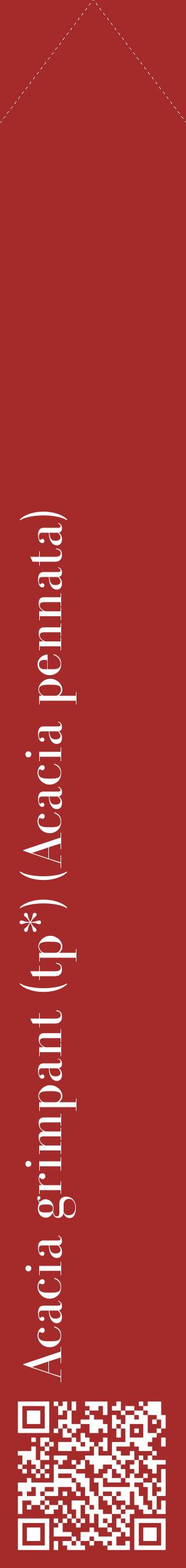 Étiquette de : Acacia pennata - format c - style blanche33_simplebod avec qrcode et comestibilité