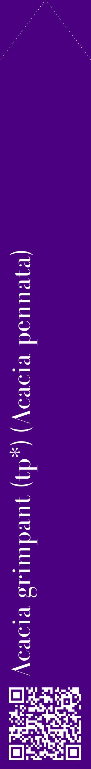 Étiquette de : Acacia pennata - format c - style blanche47_simplebod avec qrcode et comestibilité