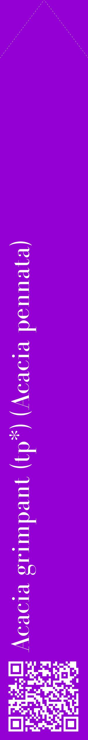Étiquette de : Acacia pennata - format c - style blanche48_simplebod avec qrcode et comestibilité