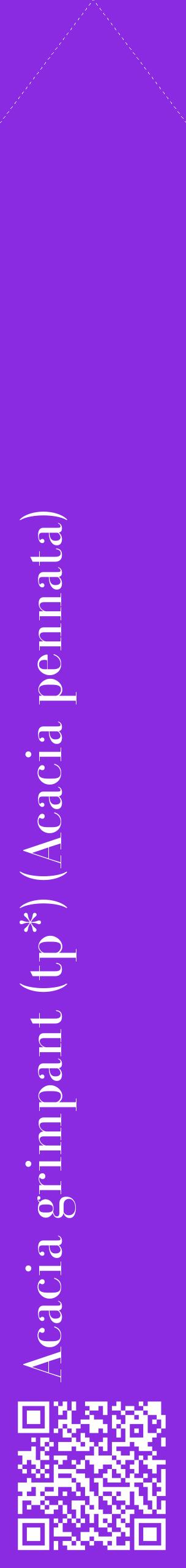 Étiquette de : Acacia pennata - format c - style blanche49_simplebod avec qrcode et comestibilité