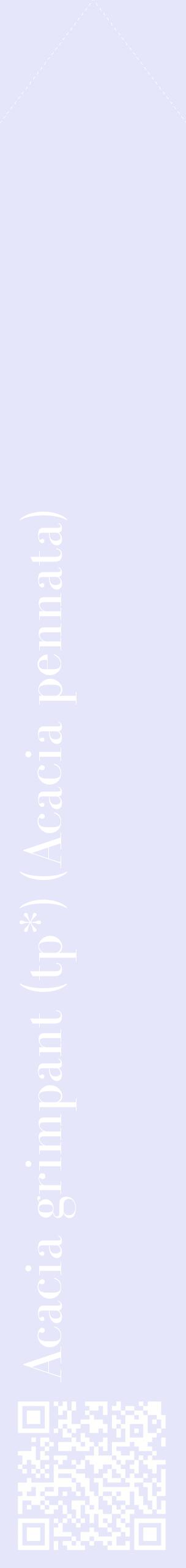 Étiquette de : Acacia pennata - format c - style blanche55_simplebod avec qrcode et comestibilité