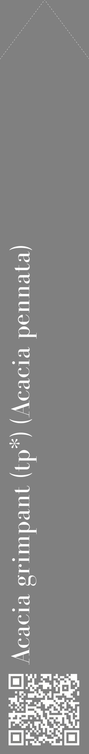Étiquette de : Acacia pennata - format c - style blanche57_simplebod avec qrcode et comestibilité