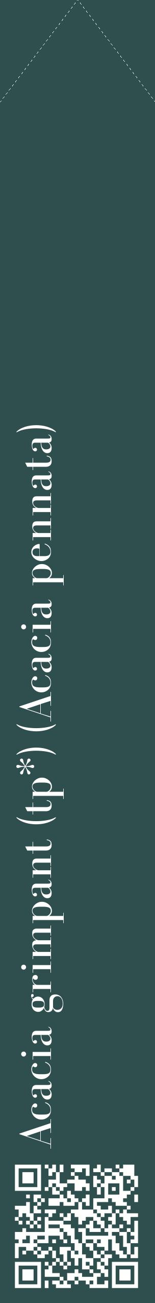 Étiquette de : Acacia pennata - format c - style blanche58_simplebod avec qrcode et comestibilité