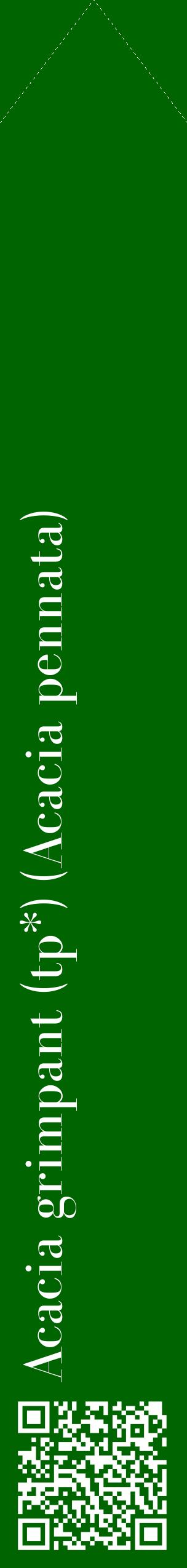Étiquette de : Acacia pennata - format c - style blanche8_simplebod avec qrcode et comestibilité