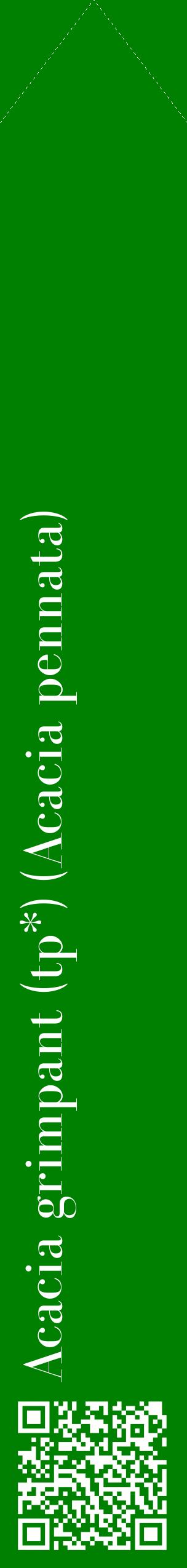 Étiquette de : Acacia pennata - format c - style blanche9_simplebod avec qrcode et comestibilité