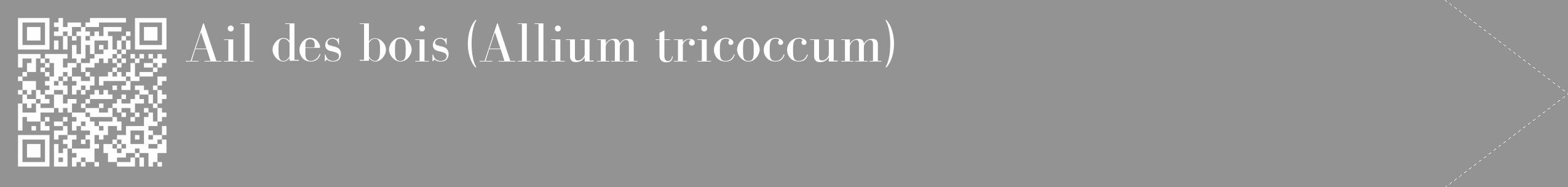 Étiquette de : Allium tricoccum - format c - style blanche44_simple_simplebod avec qrcode et comestibilité
