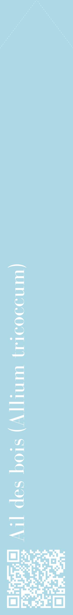 Étiquette de : Allium tricoccum - format c - style blanche0_simplebod avec qrcode et comestibilité