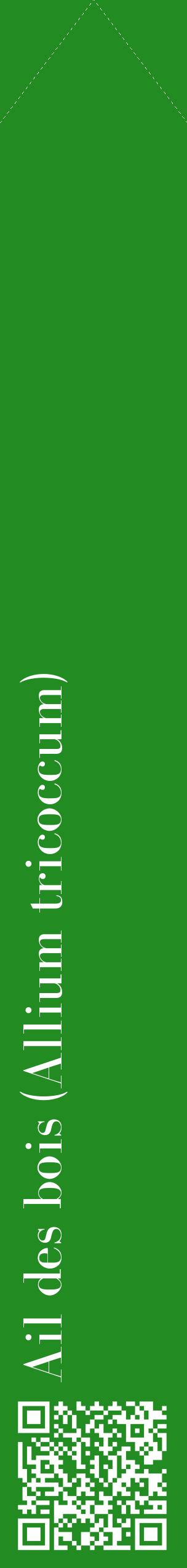 Étiquette de : Allium tricoccum - format c - style blanche10_simplebod avec qrcode et comestibilité