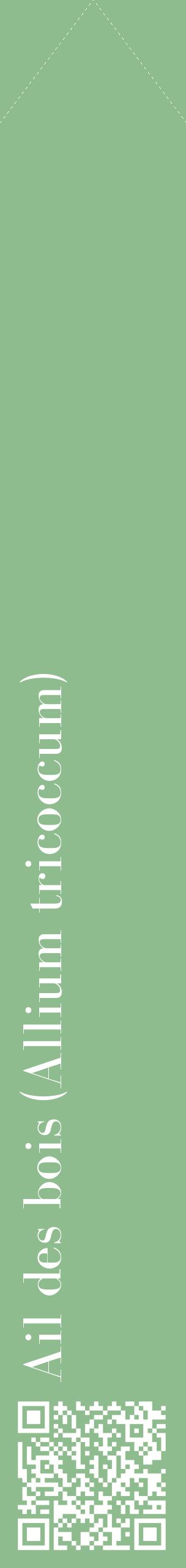 Étiquette de : Allium tricoccum - format c - style blanche13_simplebod avec qrcode et comestibilité