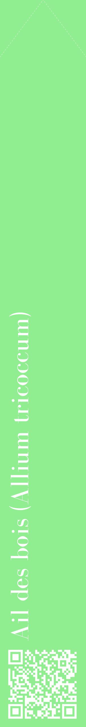 Étiquette de : Allium tricoccum - format c - style blanche15_simplebod avec qrcode et comestibilité