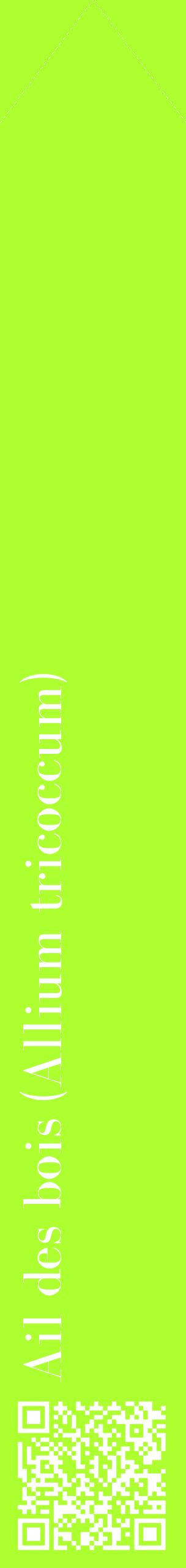 Étiquette de : Allium tricoccum - format c - style blanche17_simplebod avec qrcode et comestibilité